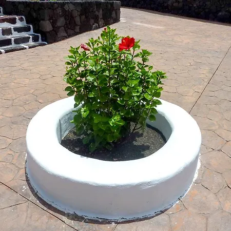 Minuky